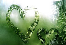 “嘴上功夫”是什么生肖,精选释义谜底解释!