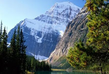 三尺童子猜打一正确最佳生肖,核心词汇释义剖析与答案阐释