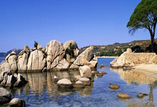 “嘴上功夫”猜打一最佳正确生肖，精粹词汇注解与探析